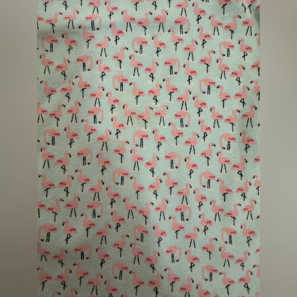 Gymboree Blue and Pink Flamingo Pajama Set Soft Sleepwear